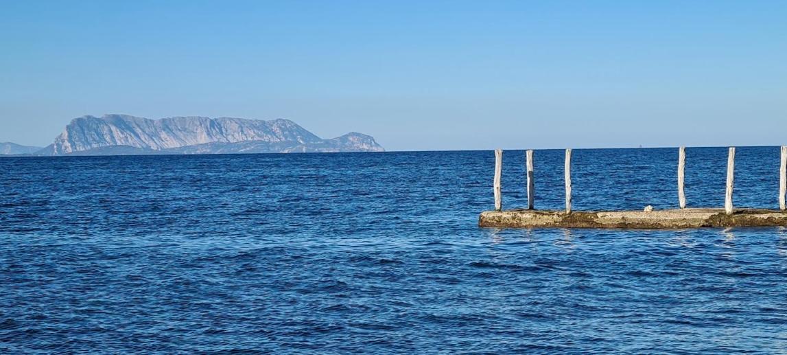 Le Pavoncelle Villa Budoni Kültér fotó