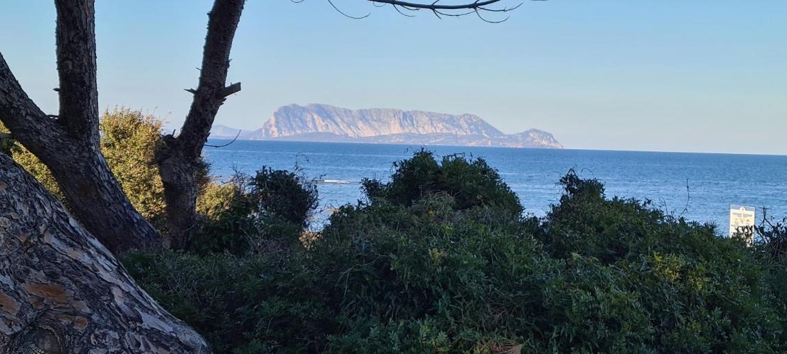 Le Pavoncelle Villa Budoni Kültér fotó